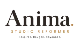 Anima. Studio Reformer